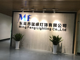 Cina Ming Feng Lighting Co.,Ltd.