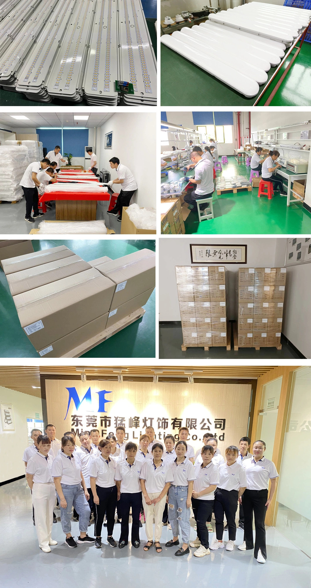 LED Tri Proof Light Lampu tahan air LED stainless steel IP66 Ik08 2FT 4FT 5FT tahan debu 15
