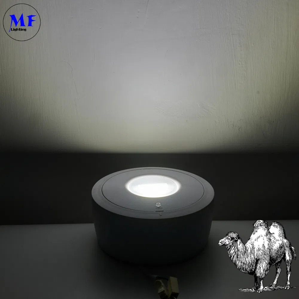 Panel Down Light LED Panic Emergency Escape Exit Sign Light IP65 Baterai cadangan Rechargeable Sekolah Umum Rumah Sakit Putih 3