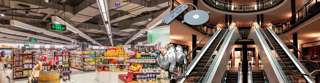 Lampu turun Kepanikan Lampu darurat Lampu tanda keluar 3 jam IP65 Baterai Shopping Workshop Mall 12