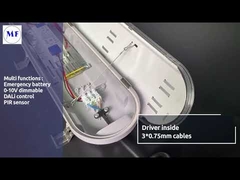 Permukaan Lampu LED Triproof IP65 Dipasang Dengan Diffuser Opal