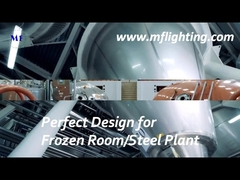 600mm LED Tri Proof Fixture 25W Dengan Diffuser Kaca Tempered