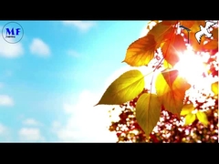 Merpati 1 Lampu jalan surya