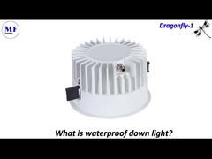 MF Down Light Capung-1