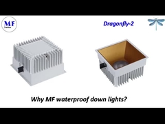 MF Down Light Capung-2