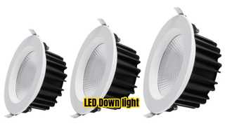 Dipimpin tongkol lampu