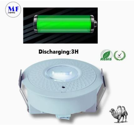 Panel Down Light LED Panic Emergency Escape Exit Sign Light IP65 Battery Backup Rechargeable Public School Hospital White