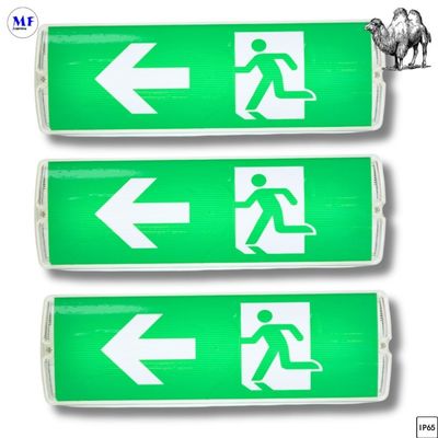 SAA / CE 8W IP65 AC220V-240V Waterproof Battery Rechargeable Bulkhead Exit Sign LED Emergency Light for Office Factory Hotel Parking Lot