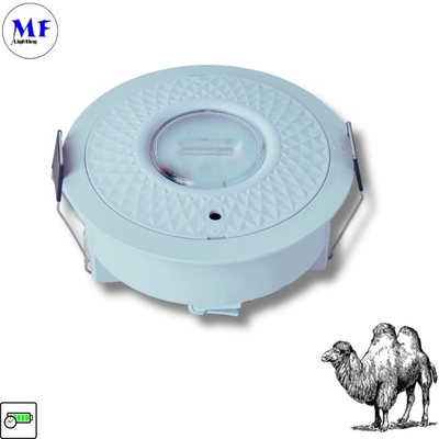 Panas Rilis tahan api 2 jam 8W Cadangan Permukaan Ditutup Mounting Downlight LED Darurat Down Light untuk Kantor Shopping Mall Pasar Hotel