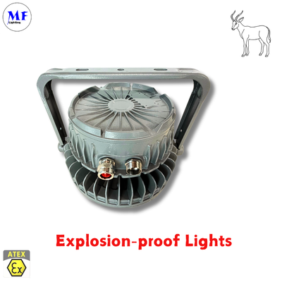 IP66 IK08 5 tahun garansi Berbagai cara pemasangan Ra> 80 ATEX Sertifikasi Die-Cast Aluminium Proof Ledakan Highbay Ligh