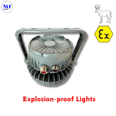 OEM ODM IP66 IK08 Atex Lamp Explosion Proof LED Highbay Light 140LM/W IP66 IK08 50W 100W 150W 200W 300W 400W Dengan Lensa Kaca Tempered Untuk Minyak Gas Kimia Pertambangan Zona Berbahaya